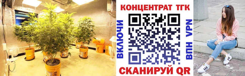 Дистиллят ТГК концентрат  кракен ТОР  Корсаков 